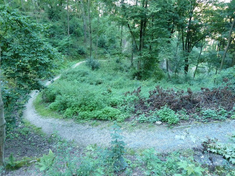 P1660083.JPG - Heidelberg