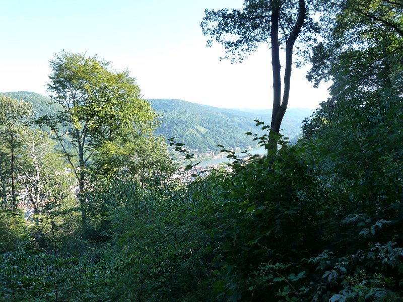 P1660088.JPG - Heidelberg