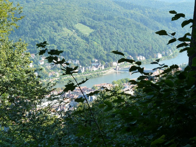 P1660089.JPG - Heidelberg