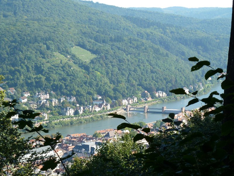 P1660091.JPG - Heidelberg