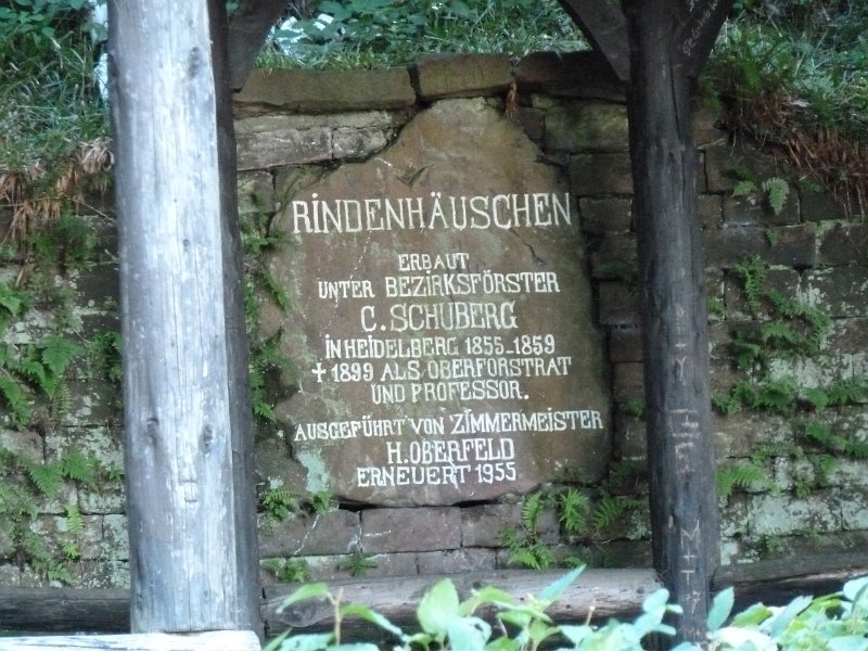 P1660100.JPG - Heidelberg