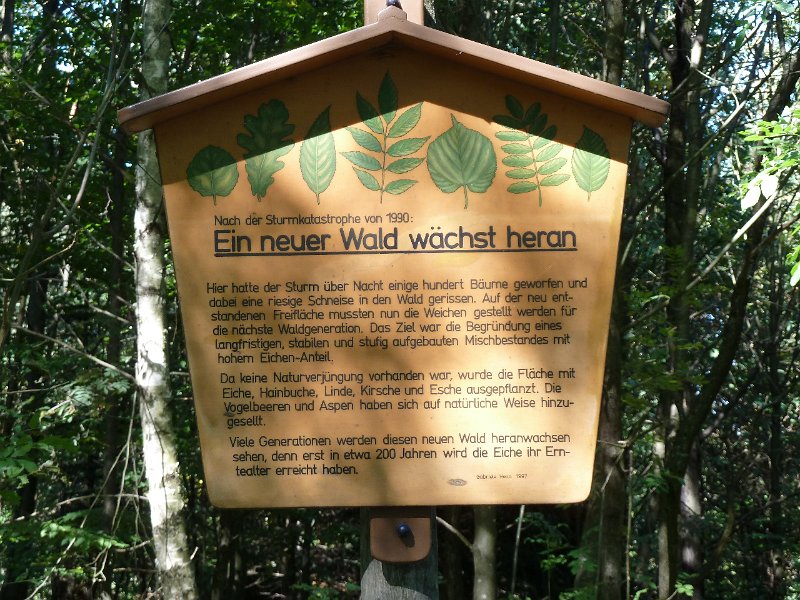 P1660104.JPG - Heidelberg