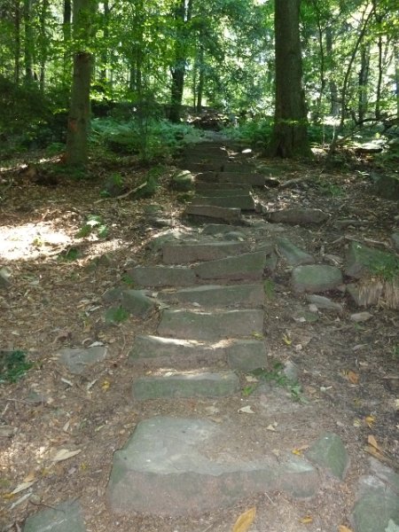 P1660109.JPG - Heidelberg