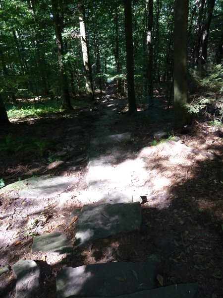 P1660110.JPG - Heidelberg