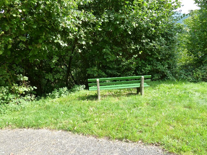 P1660156.JPG - Weisenbach