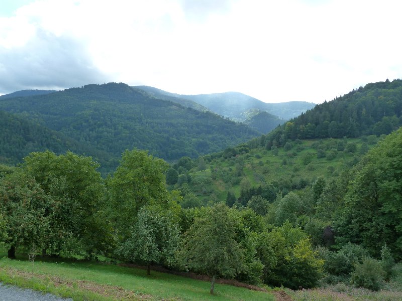 P1660158.JPG - Weisenbach