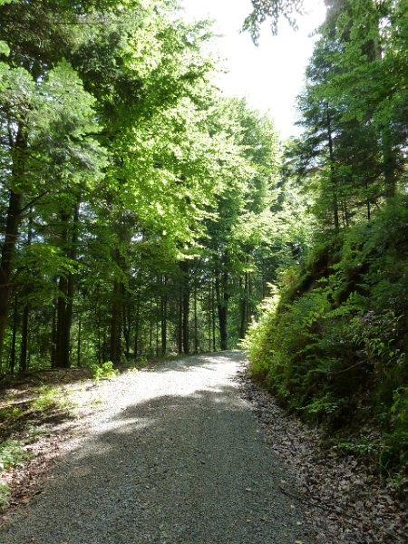 P1660159.JPG - Weisenbach