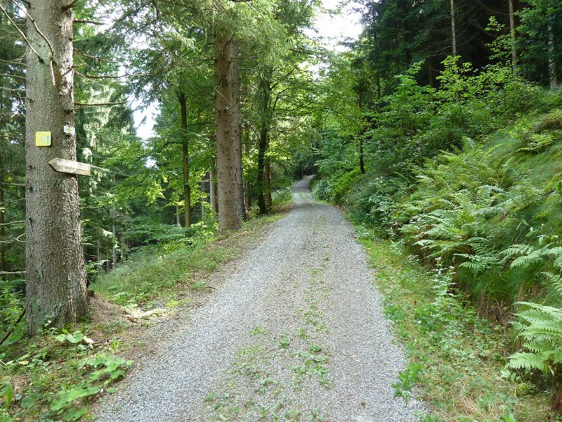 P1660160.JPG - Weisenbach