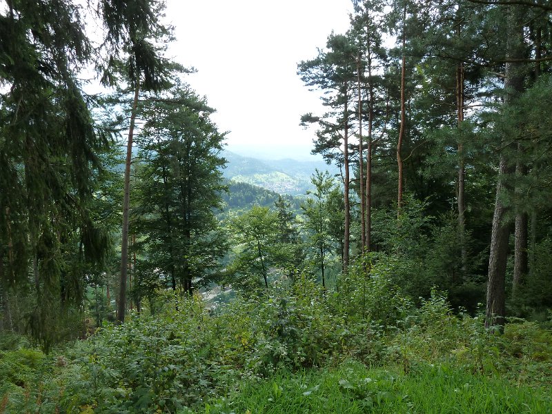 P1660161.JPG - Weisenbach