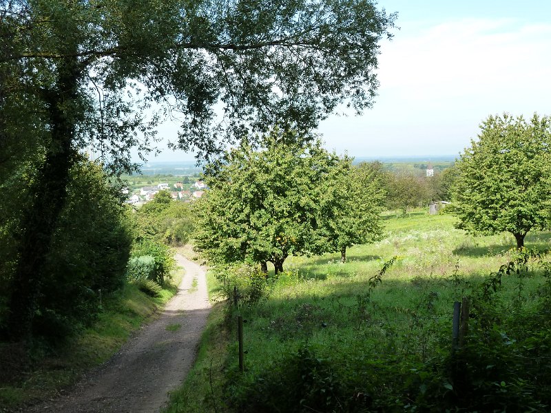 P1660192.JPG - Oberweier