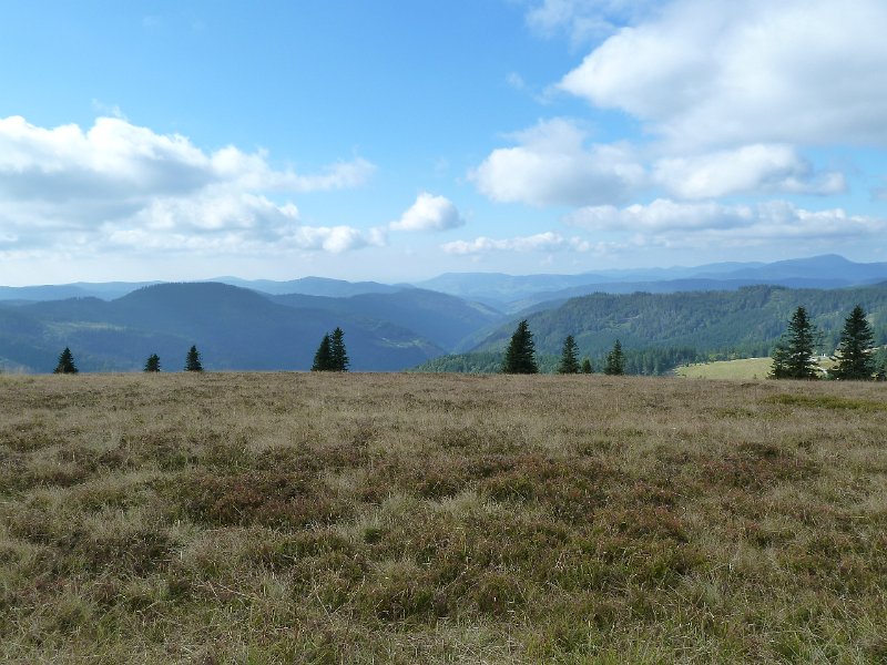 P1660355.JPG - Feldberg