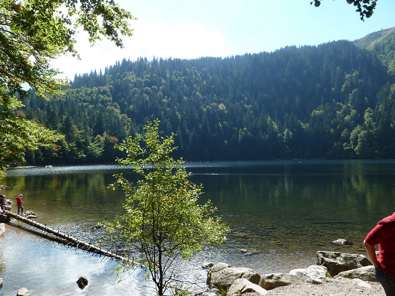 P1660359.JPG - Feldsee